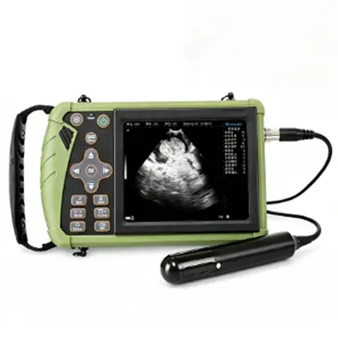 Super B -- Big rectal probe S0