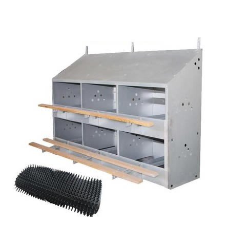 Hộp trứng, 12 lỗ -- không có giá và ống hút nhân tạo