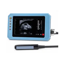 B Super-Rython-System rectum 7-T6
