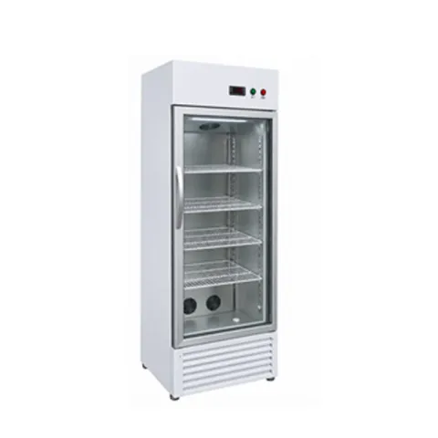 Konstanttemperatur-Kühlschrank Heizkühler 250L
