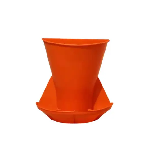 Máng ăn nhựa cho heo con Một cái bể heo bị cột tường.