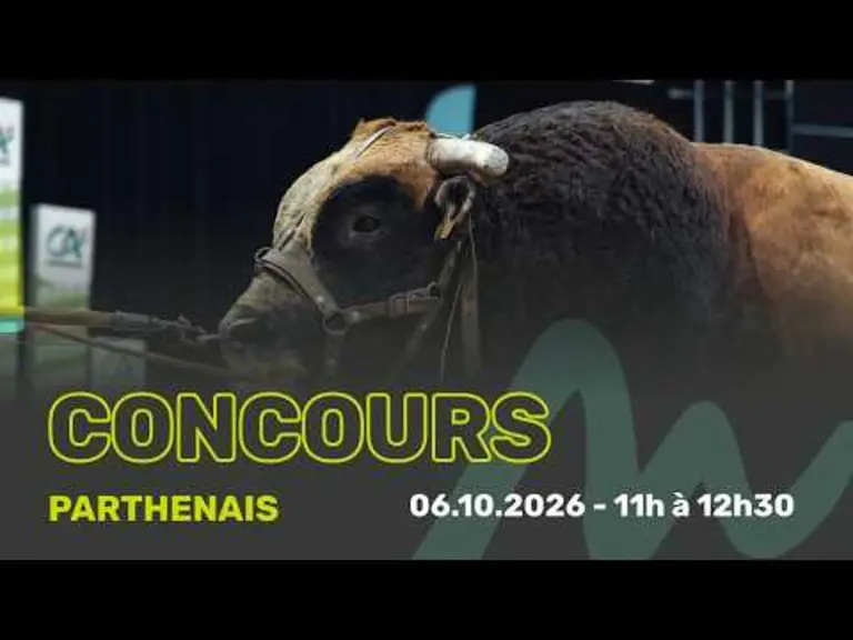 Sommet de l'élevage 2026 : Suivez en direct le concours de la race Parthenaise — Illustration 1