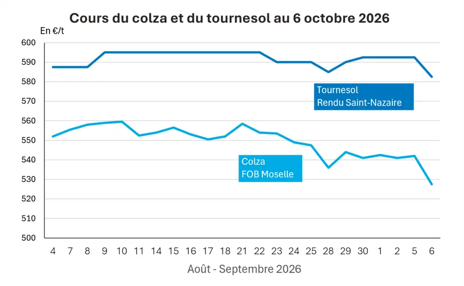 COTidienne
 Oilseed Market on 6 October 2026: Rapeseed price trends and oilseed prices on the Cbot and Euronext await the release of the Wasde report at the end of the week — Illustration 1