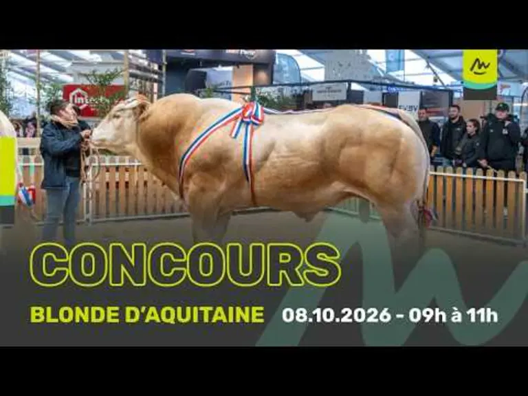 Sommet de l'élevage 2026 : Suivez en direct le concours de la race Blonde d'Aquitaine — Illustration 1