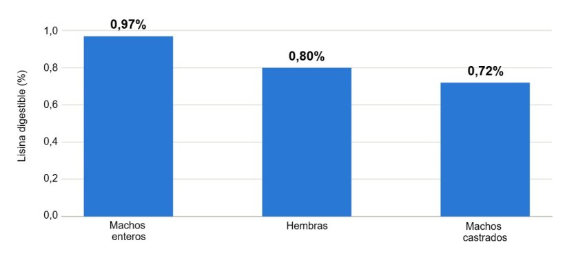 Figura 1. Necesidades de lisina digestible seg&uacute;n categor&iacute;a (70&ndash;100 kg). Fuente: Tablas Brasile&ntilde;as de Aves y Cerdos, 2024
