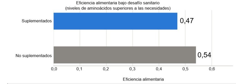 Figura 3. Eficiencia alimentaria bajo desaf&iacute;o sanitario en animales suplementados con niveles de amino&aacute;cidos superiores a las necesidades de tript&oacute;fano, metionina y treonina, y en animales no suplementados. Fuente: Valini et al., 2024.
