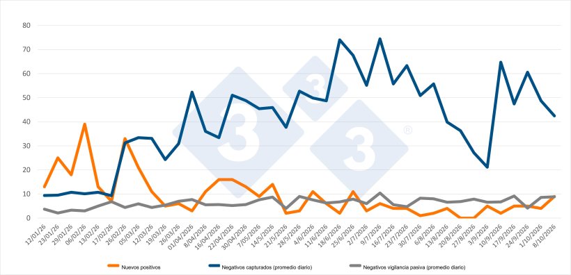 Evolución de positivos, capturas y vigilancia pasiva semanal en las zonas I y II. Fuente: 333 a partir de datos del MAPA.
