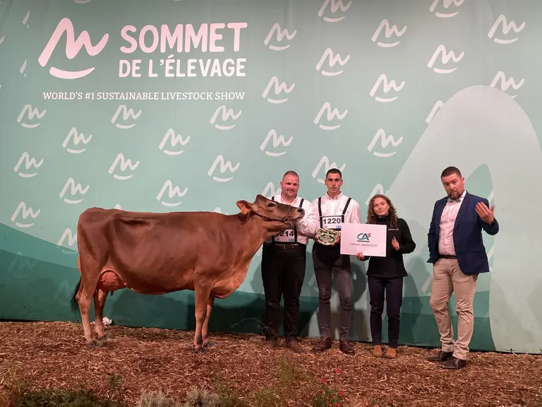 Sommet de l’élevage 2026 : Tétropbell sacrée grande championne du concours interrégional jersiais — Illustration 1