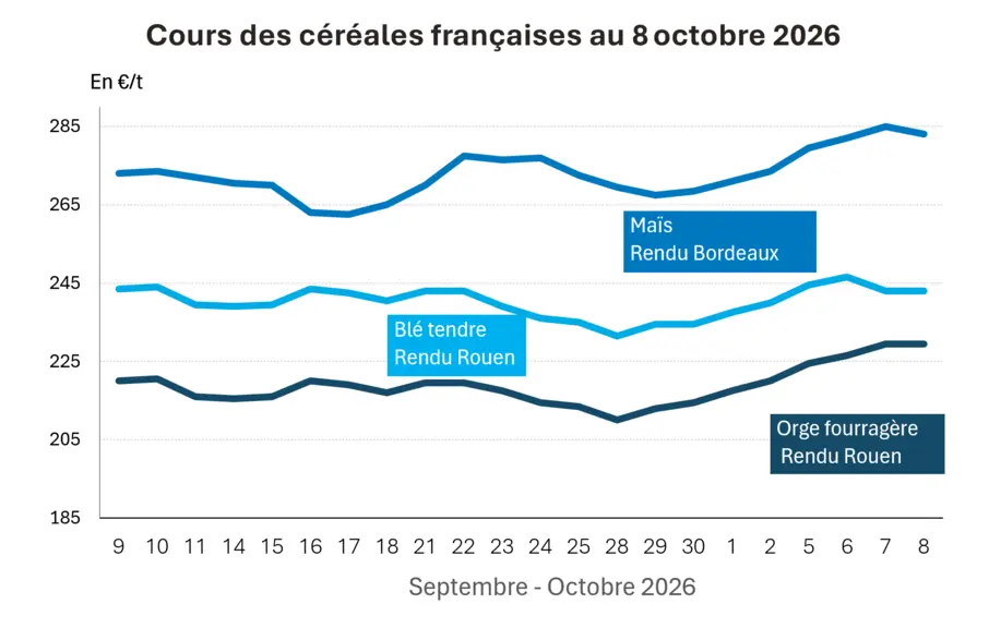 COTidienne
 Marché des céréales du 8 octobre 2026 : les prix des céréales reculent avant le verdict de l’USDA — Illustration 1