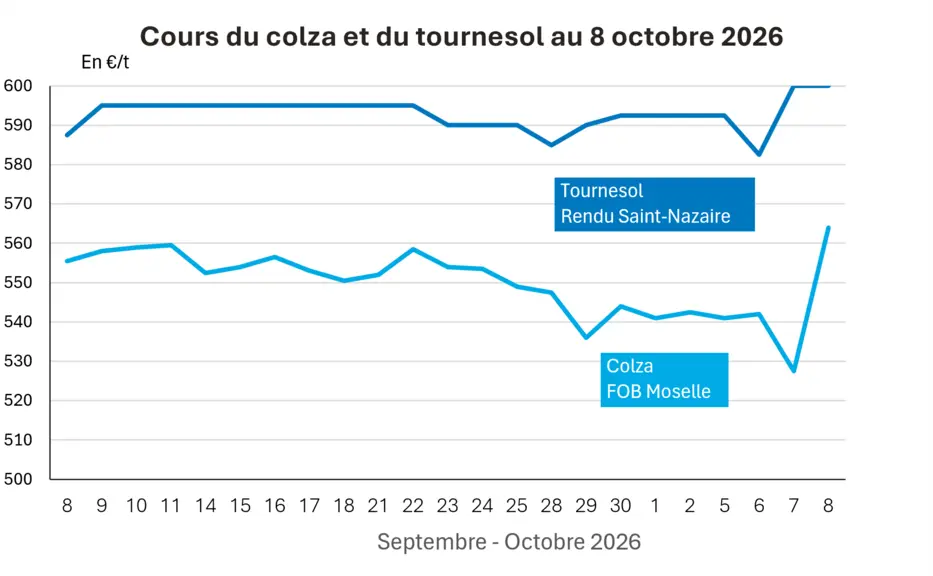 COTidienne
Marché des oléagineux du 8 octobre 2026 : Le soja coté sur le Cbot toujours soumis aux prises de bénéfices alors que le colza sur Euronext retrouve un élan acheteur — Illustration 1