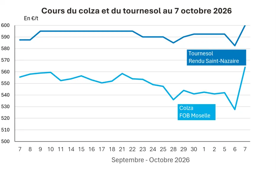 Marché des oléagineux du 7 octobre 2026 –  Les cours du soja sur le Cbot et sur le colza sur Euronext en baisse, entre prises de bénéfices et ajustements techniques — Illustration 1