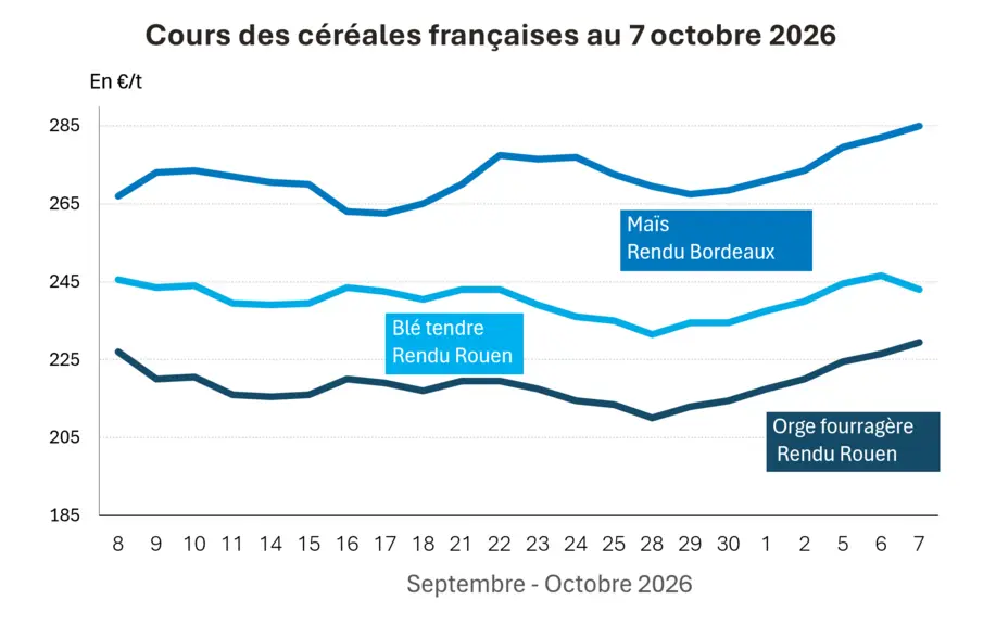 Marché des céréales du 7 octobre 2026 –  Les prix reculent sur fond de prises de bénéfices et de fondamentaux favorables — Illustration 1