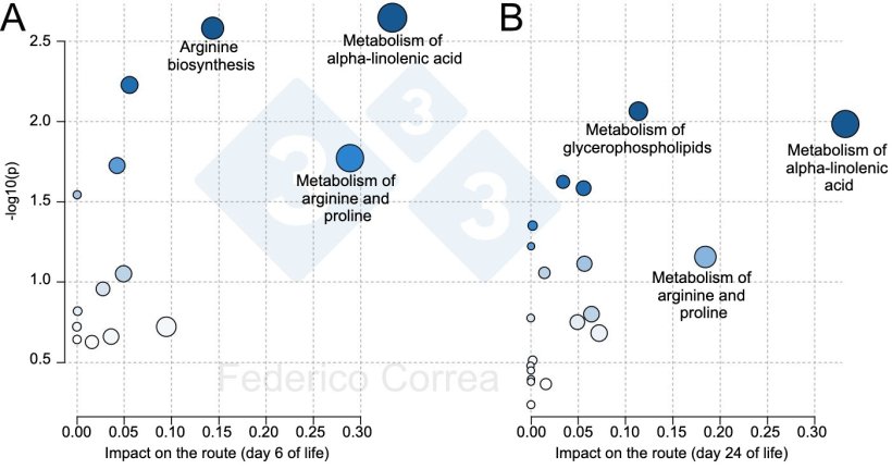 Figure 1. Metabolic pathways of colostrum associated with piglet survival during the lactation period. The figures show the main metabolic pathways of colostrum associated with piglet survival at 6 days (A) and 24 days (B). The size and color of the dots indicate the effect and significance of the m