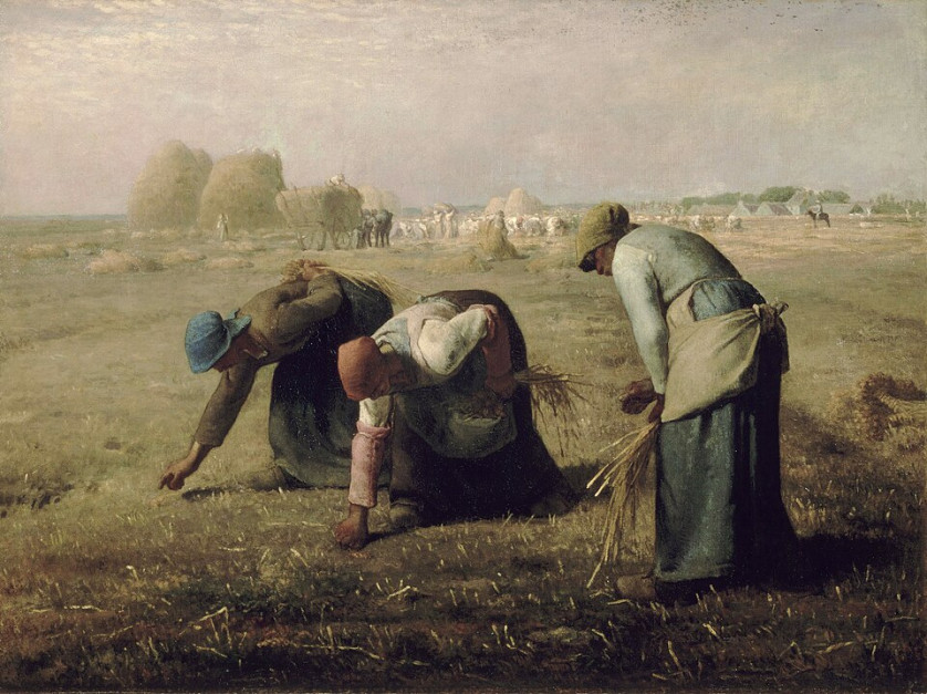 Des glaneuses – obraz olejny autorstwa francuskiego malarza Jeana-François Milleta, ukończony w 1857 r. Fot. Jean-François_Mille / Domena publiczna