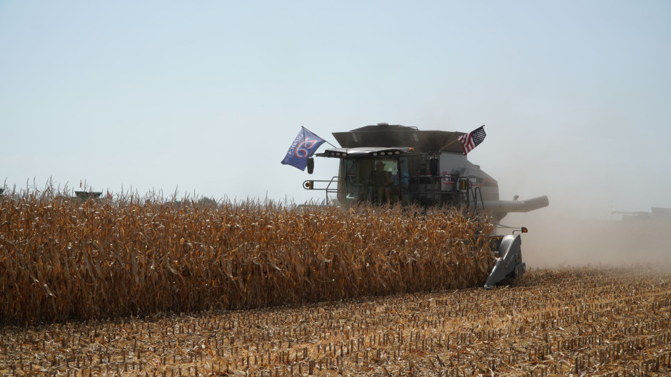 Gleaner T81 na pokazach w kukurydzy podczas Farm Progress Show Fot. Kamil Pawłowski / PTWP