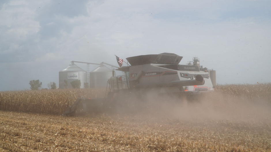 Gleaner T81 na pokazach w kukurydzy podczas Farm Progress Show Fot. Kamil Pawłowski / PTWP