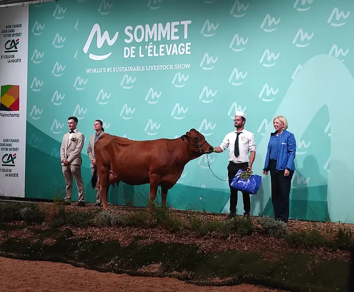 Stylée, meilleure adulte du concours tarentais