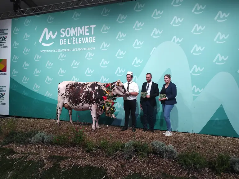 Sulfate, remporte le prix de grande championne
