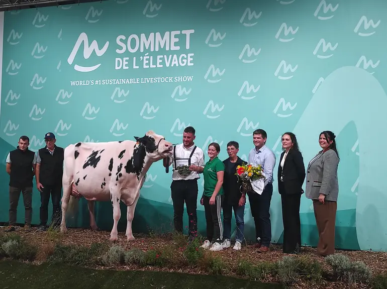 Championne du concours prim'holstein