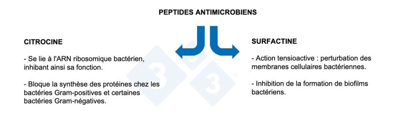 Graphique 3 : Propri&eacute;t&eacute;s des peptides antimicrobiens.
