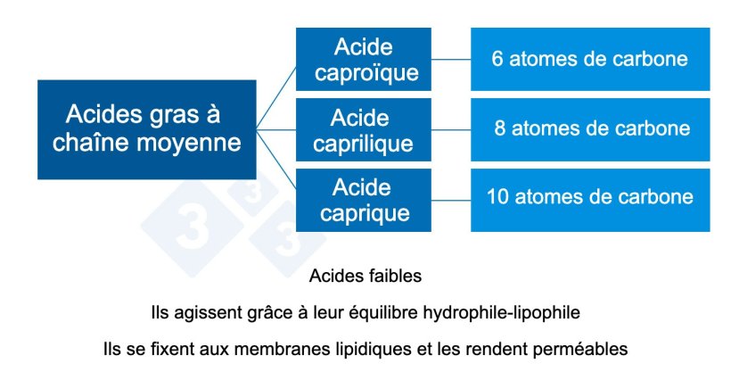 Graphique 2 : Acides organiques &agrave; cha&icirc;ne moyenne.
