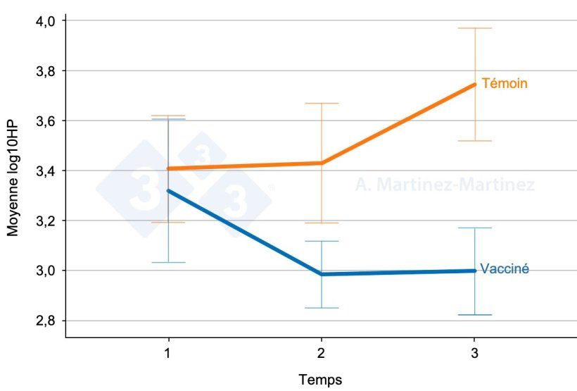 Graphique 1 : Taux d'haptoglobine dans la salive de deux groupes de porcs, l'un vaccin&eacute; et l'autre non vaccin&eacute;. Barres d'erreur : IC &agrave; 95 %. Source : A. Martinez-Martinez.
