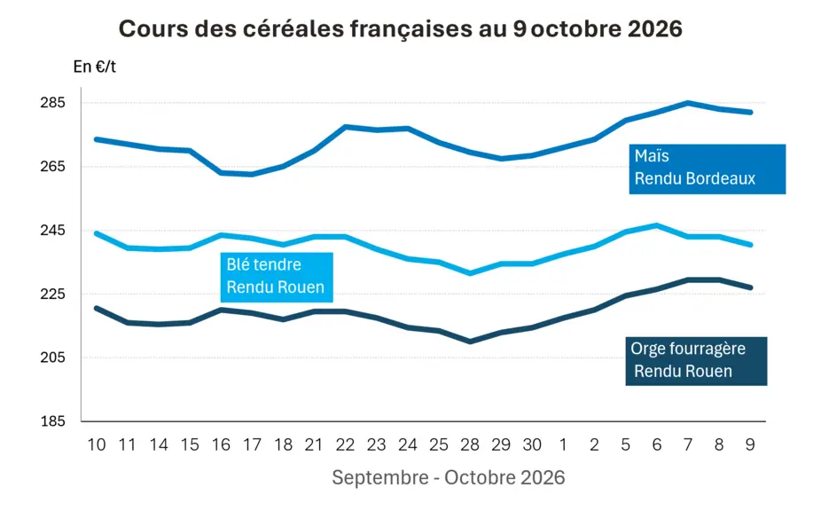 COTidienne
 Cereal Market of 9 October 2026: Cereal prices fall amid abundant global corn supplies
 
  — Illustration 1