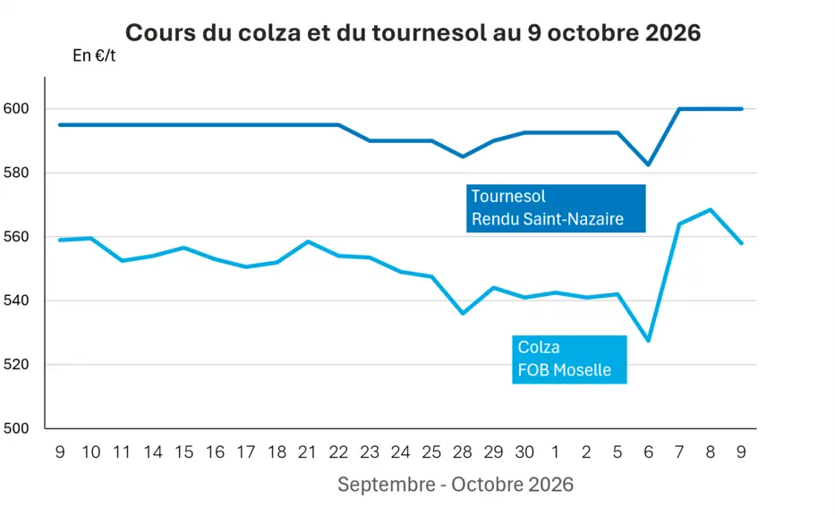 COTidienne
Marché des oléagineux du 9 octobre 2026 : Le soja coté sur le Cbot progresse tandis que le colza coté sur Euronext perd un peu de terrain — Illustration 1