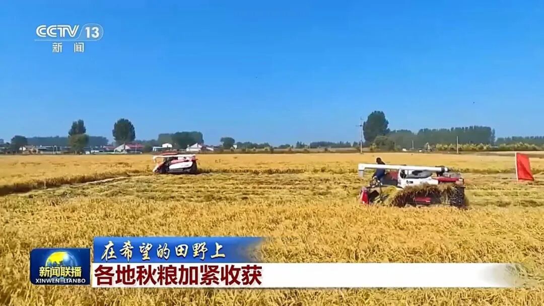 Autumn Grain Harvest Progresses Apace, National Progress Has Exceeded Four Tenths — Illustration 1