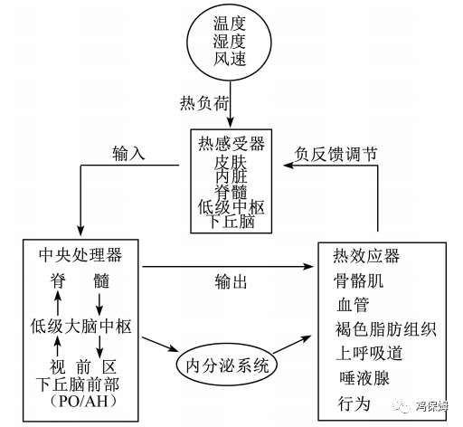 文章插图 — 插图 1