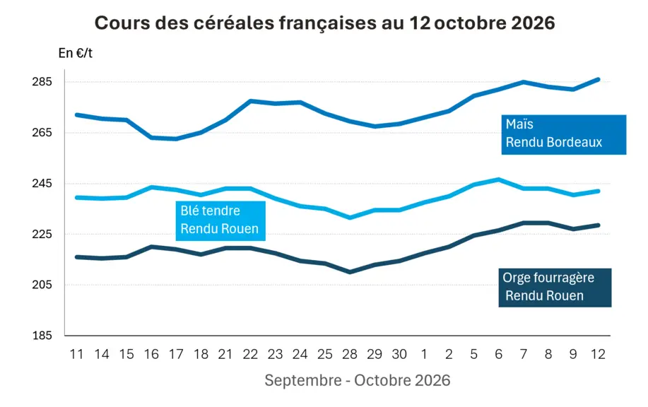 Marché des céréales du 12 octobre 2026 –  Rebond technique des prix des céréales — Illustration 1