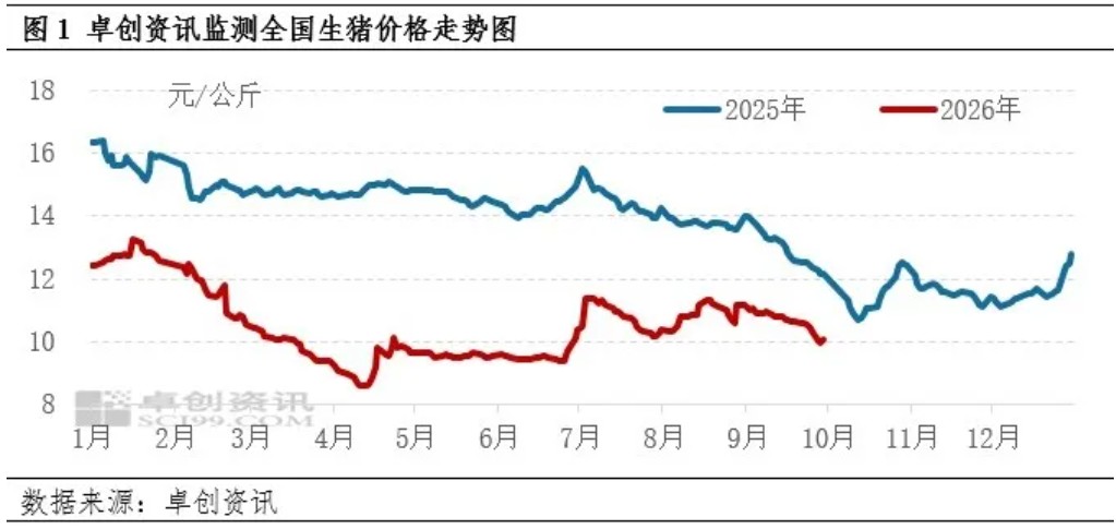 2026年10月13日养猪业重要信息汇总

 跌猛了！猪价下跌“绿油油”，新一轮“降价潮”来了？

 猪价跌回“原价”，破位下跌！接下来“地板线”是多少？

 供给增加、消费转弱叠加冻品抛压，10月猪价或继续磨底

 猪周期大揭秘：底部震荡、产能博弈与盈利曙光 — 插图 3
