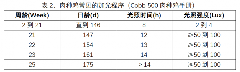 Broiler Breeder Chickens||Main Factors Affecting Egg Production Rate — Illustration 3