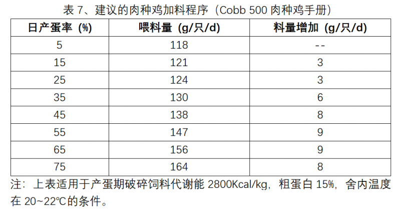 Broiler Breeder Chickens||Main Factors Affecting Egg Production Rate — Illustration 10