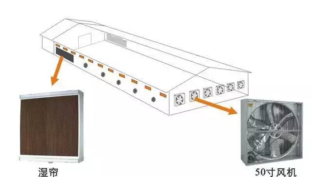 Sidewall Inlets in Poultry Houses: Is Your Calculation Method Scientifically Sound? — Illustration 4