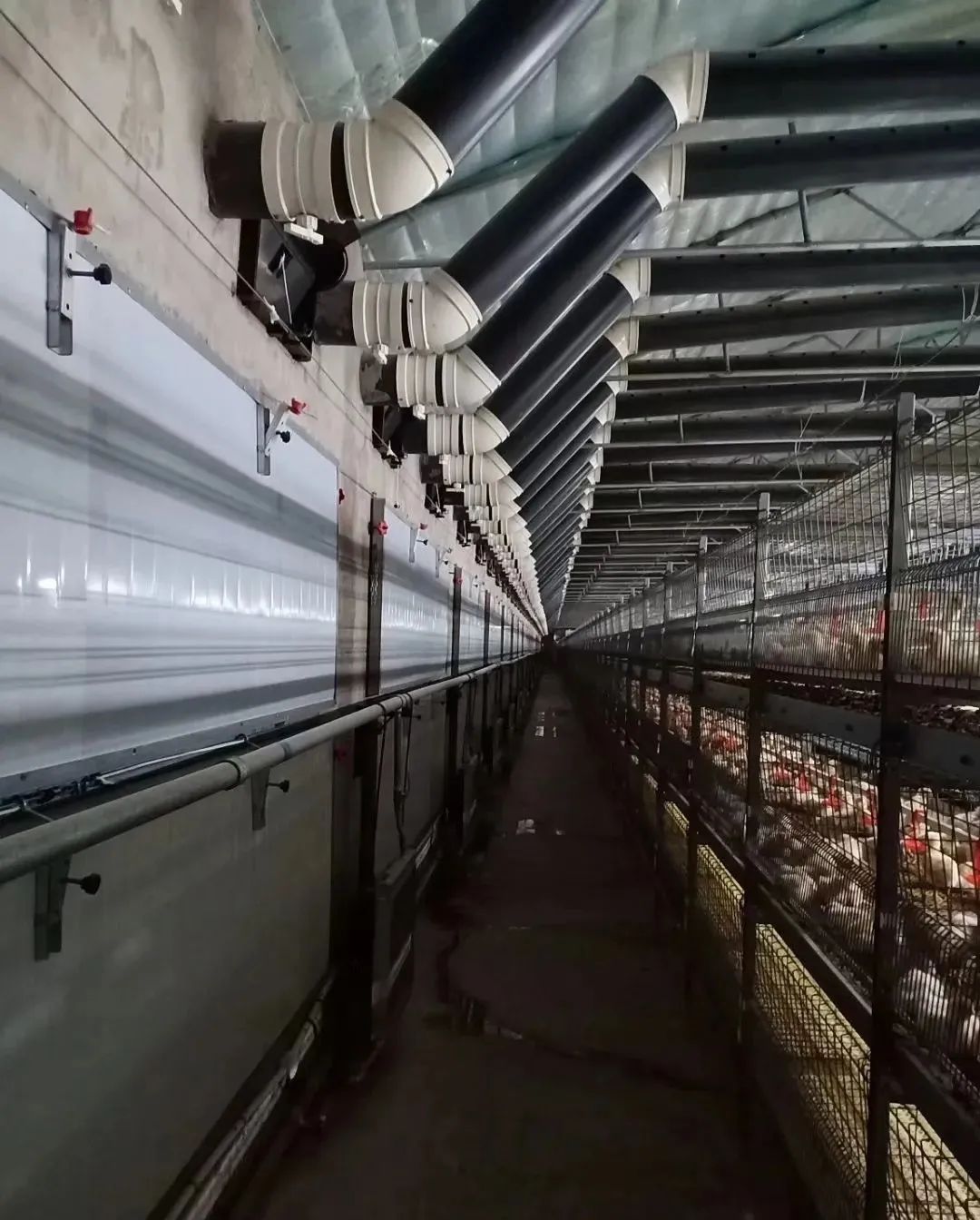 Analysis—Minimum Ventilation in Chicken Houses During Autumn and Winter — Illustration 4