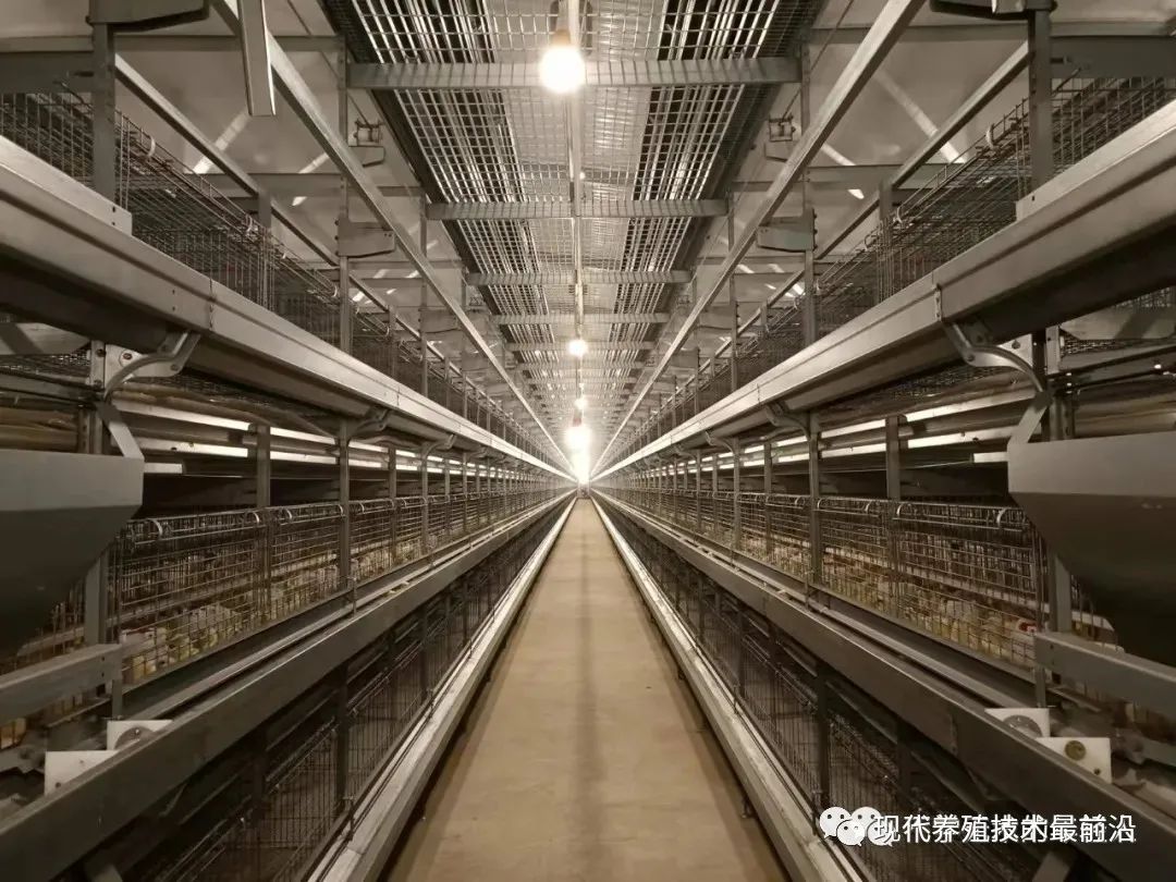 Explaining the Poultry House Environment Controller—Ventilation Levels! — Illustration 5