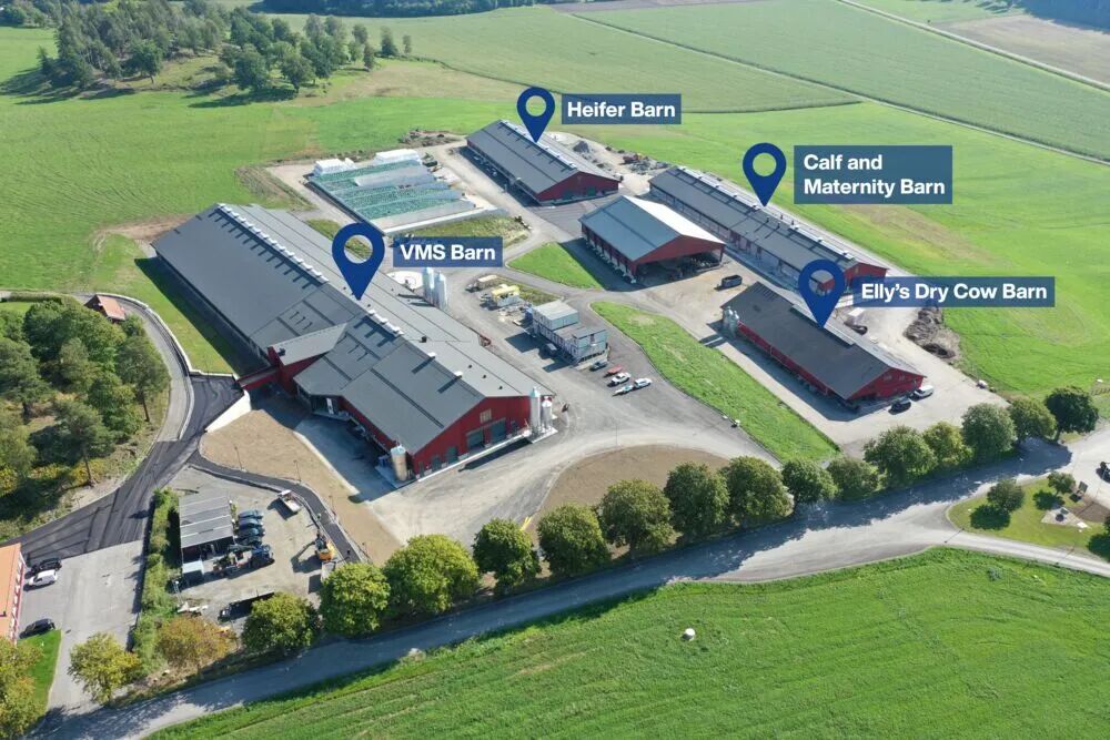 Hamra Farm expansion – DeLaval enters a new era of innovation — Illustration 1