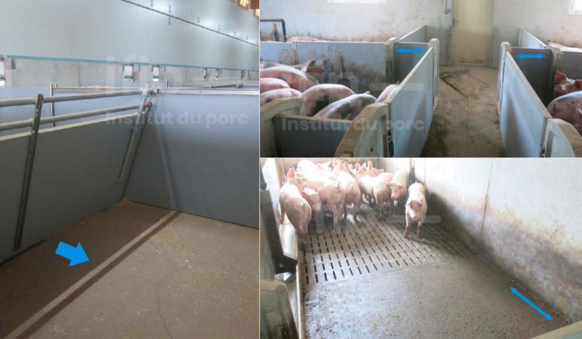 Left: An angled partition to facilitate movement and increase resistance to animals pushing against it. Right: The size of the resting area can be adjusted to accommodate the size of the animals by moving a partition.
