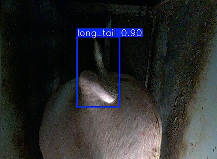 PigTail by WEDA: The camera-based image processing system for sorting chutes wins the DLG Innovation Award EuroTier 2026 (Silver) — Illustration 2