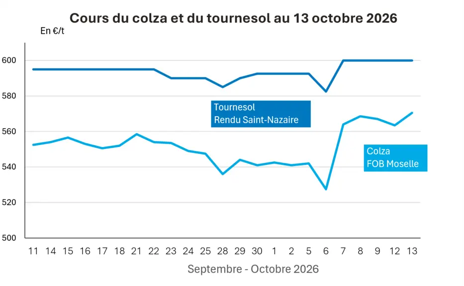 Oilseed and by-product market from 12 to 13 October 2025 - Soybean prices retreat on the Cbot despite rising oil prices, while rapeseed rises on Euronext on technical factors — Illustration 1