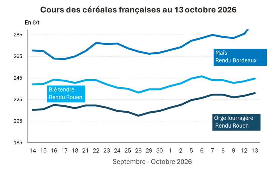 Marché des céréales du 13 octobre 2026 - Une récolte de maïs français à 7,3 Mt soutient les prix du blé et du maïs sur Euronext — Illustration 1