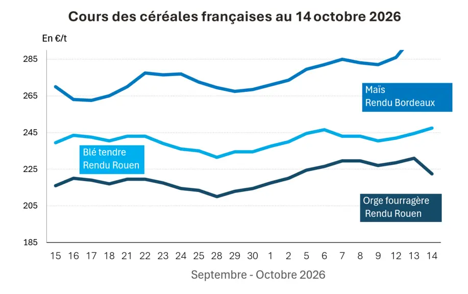 COTidienne
Grain Market of 14 October 2026: Corn falls in Chicago but surges on Euronext — Illustration 1