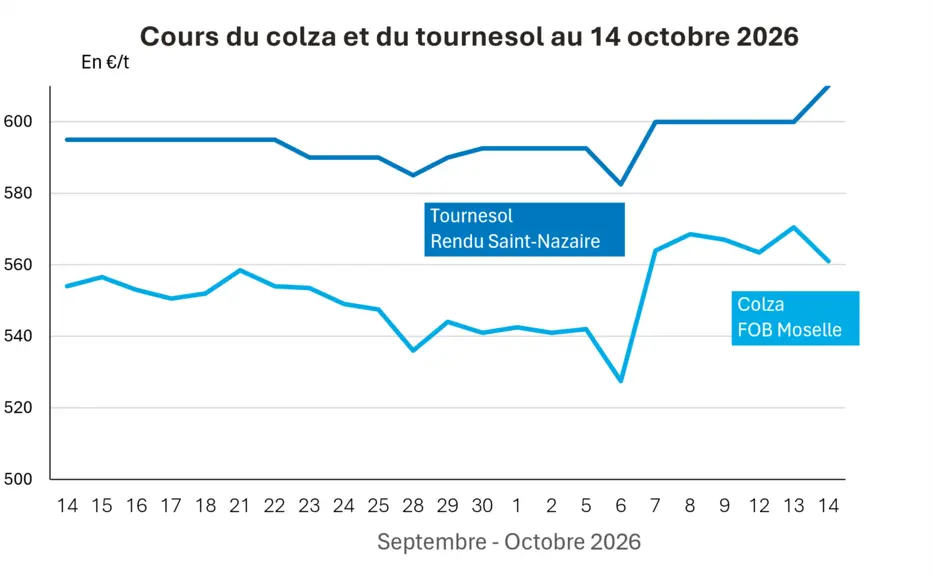 COTidienne
Oilseed market on 14 October 2026: Soybean prices on the Cbot fall again, while rapeseed on Euronext has no clear direction — Illustration 1