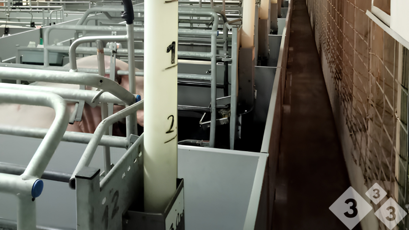 A profitable farrowing unit: infrastructure, welfare, and management — Illustration 3