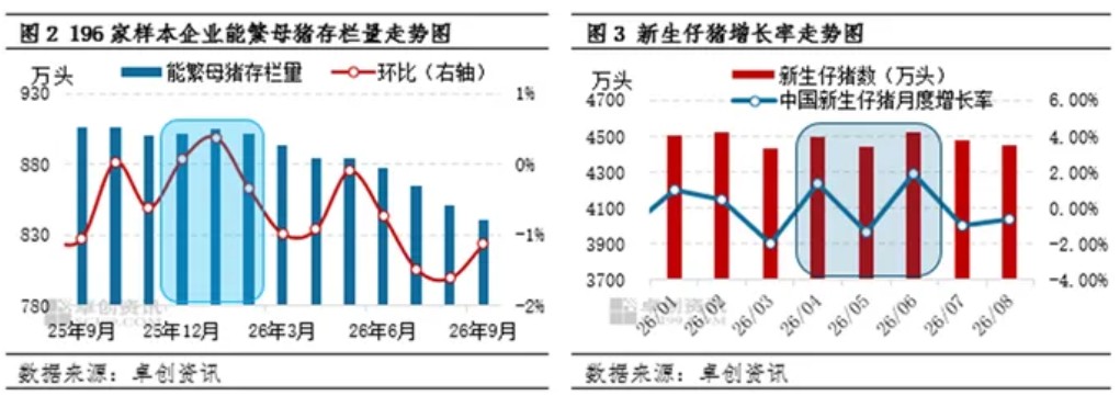 2026年10月16日养猪业重要信息汇总

 猪价大降11.7%，二师兄“二次探底”跌回“解放前”，10月“跌绿”到月底？

 崩落！猪价下跌“超预期”，原因已找到！物极必反？

 产能去化幅度有限，金融调控加码，2027 猪市震荡偏强，切勿高估周期弹性

 看懂生猪供需—四季度猪价三段波动，难上成本线 — 插图 4