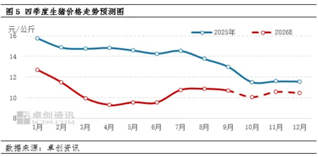 2026年10月16日养猪业重要信息汇总

 猪价大降11.7%，二师兄“二次探底”跌回“解放前”，10月“跌绿”到月底？

 崩落！猪价下跌“超预期”，原因已找到！物极必反？

 产能去化幅度有限，金融调控加码，2027 猪市震荡偏强，切勿高估周期弹性

 看懂生猪供需—四季度猪价三段波动，难上成本线 — 插图 6