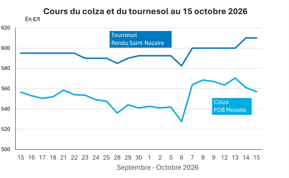 COTidienne
 Oilseeds market on October 15 2026: Cbot soybean futures post a fourth consecutive session of declines, while rapeseed struggles to find its rhythm on Euronext — Illustration 1