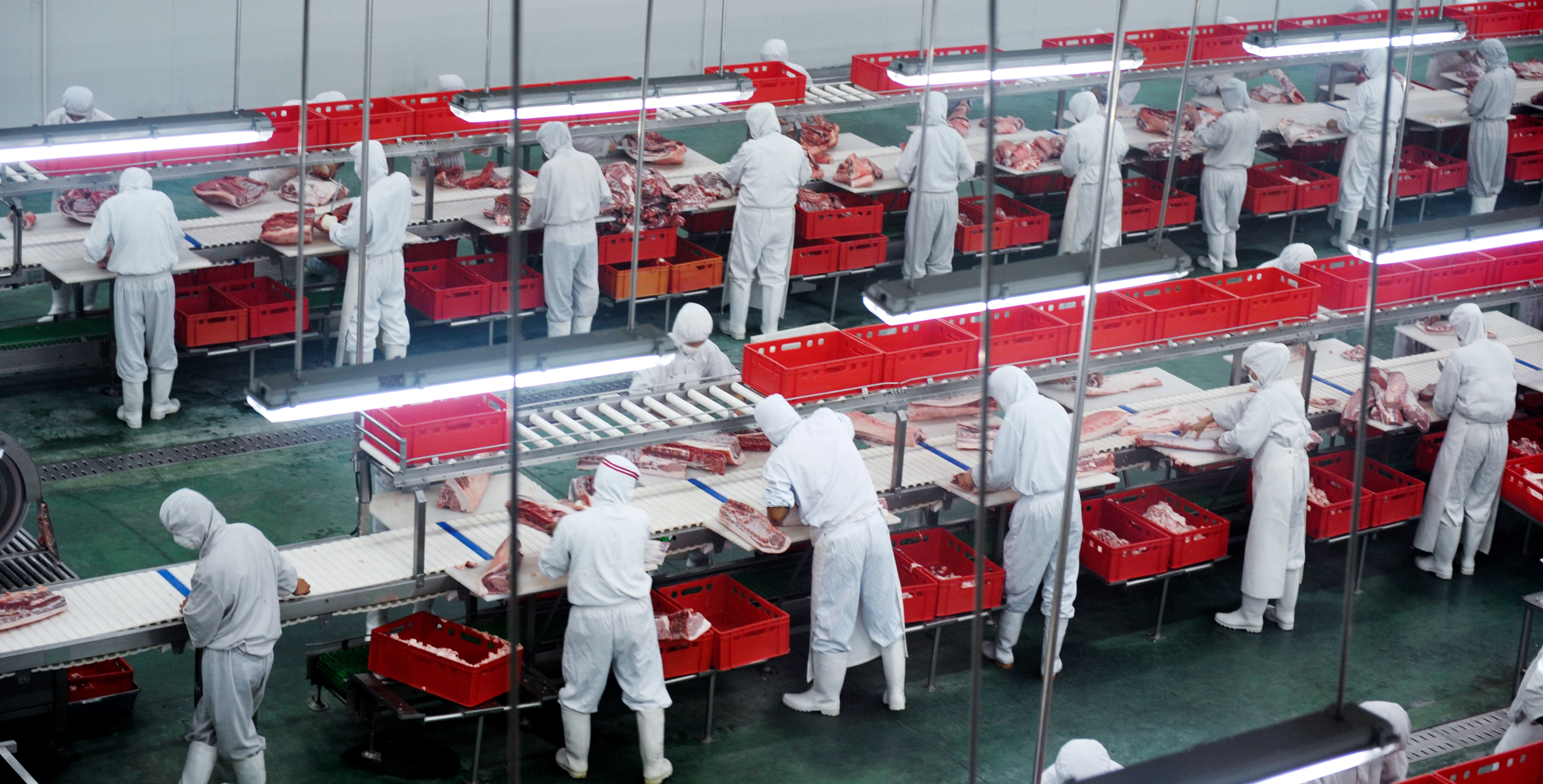 Spain: Five-day strike called in the meat industry — Illustration 1