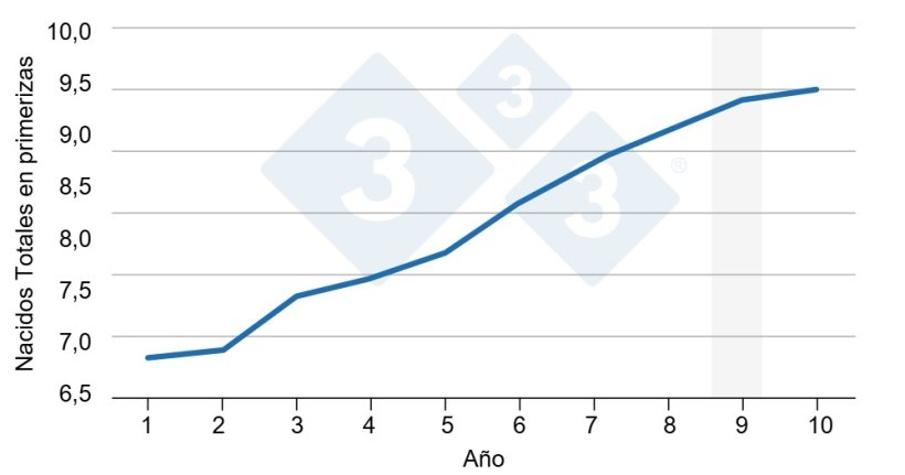 Figura 2. Evoluci&oacute;n Nacidos Totales en primerizas.&nbsp;Evoluci&oacute;n media de nacidos totales en primerizas en 10 a&ntilde;os. Datos reales de pool de 2 granjas de multiplicaci&oacute;n, representando aproximadamente 3000 cerdas ib&eacute;ricas. En gris se marca cuando se incluir&iacute;a